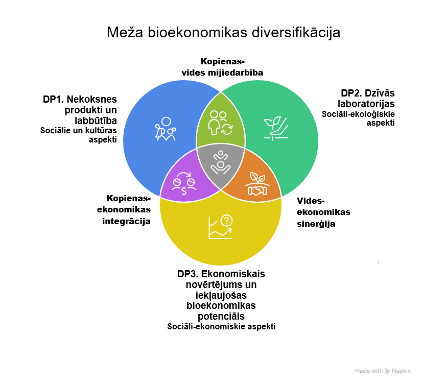 2026 lzp 0478 WP structure visual selection LV
