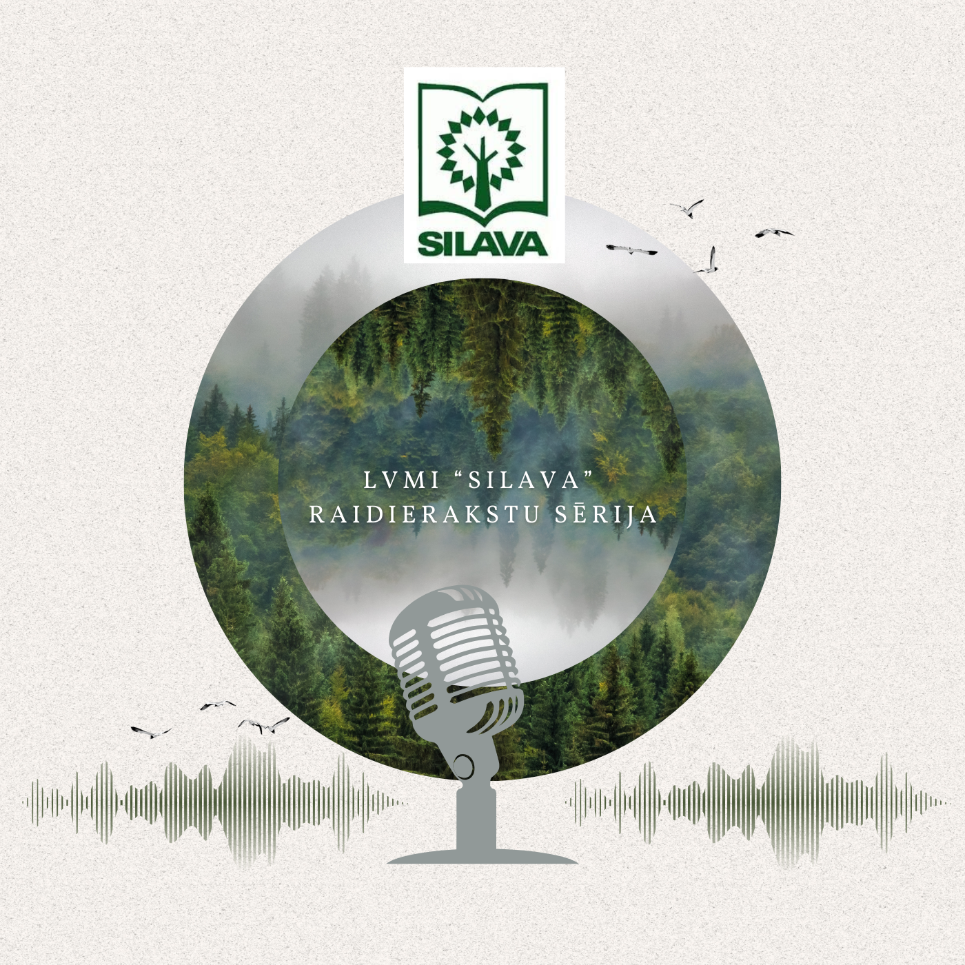 2025 10 LVMISilava Raidierakstu serija