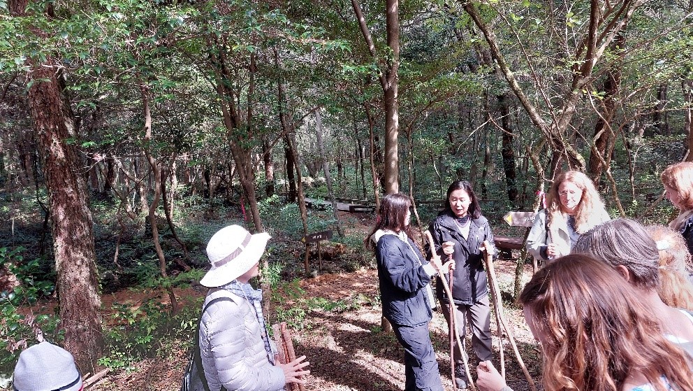 2025 11 12 Forest Therapy 3