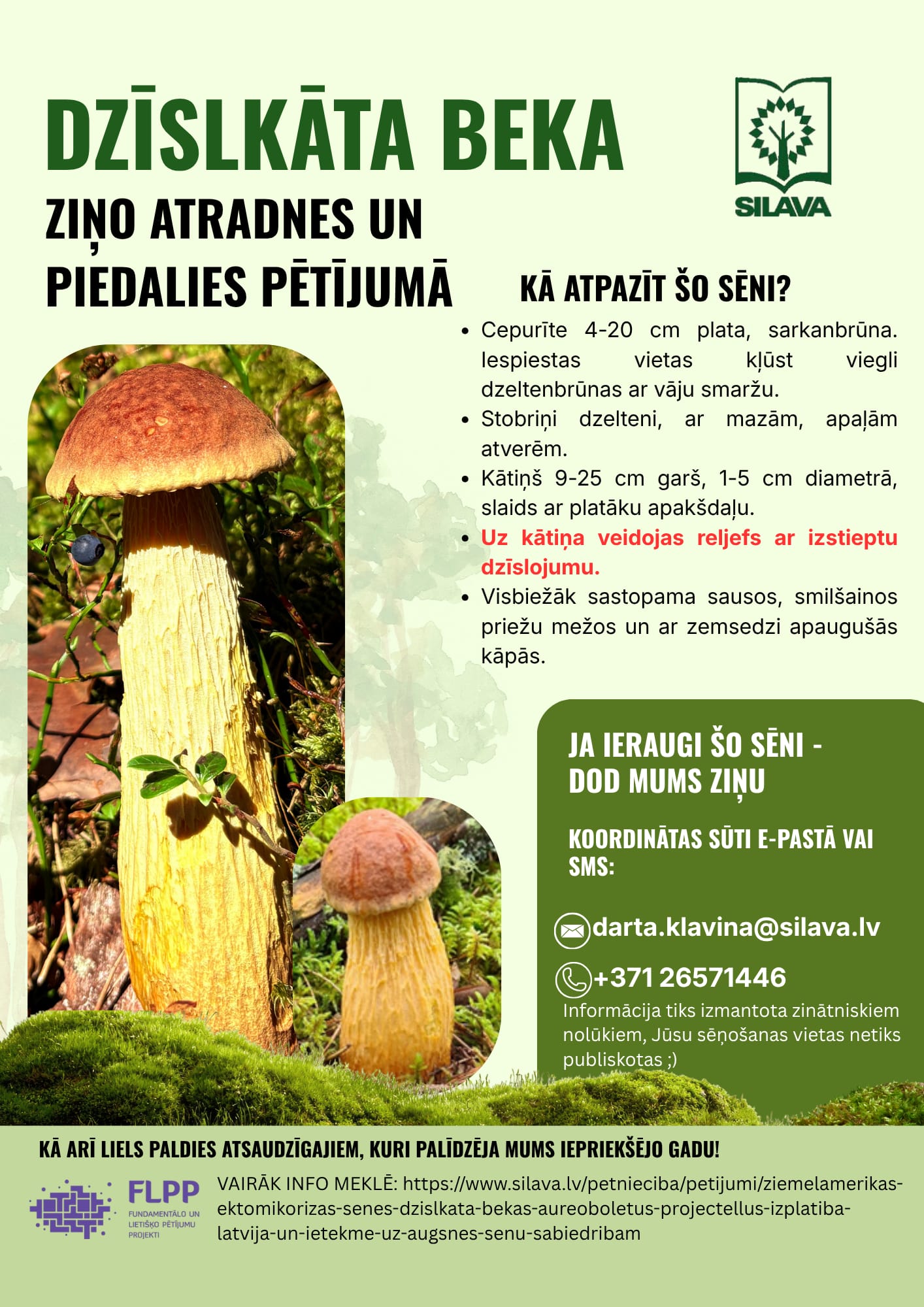 2026 08 10 Dzislkata beka