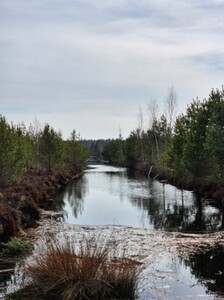 2026 10 15 BarībasVieluDOCizskalošanās